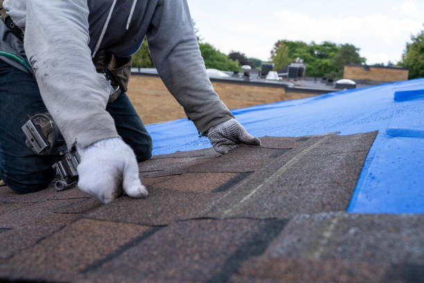 Roof Insulation Installation in Hamilton City, CA